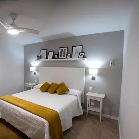 公寓 4bedrooms 托萊多